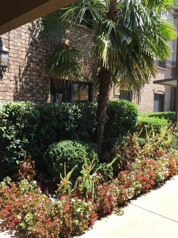 Comfort Suites מרשל מראה חיצוני תמונה